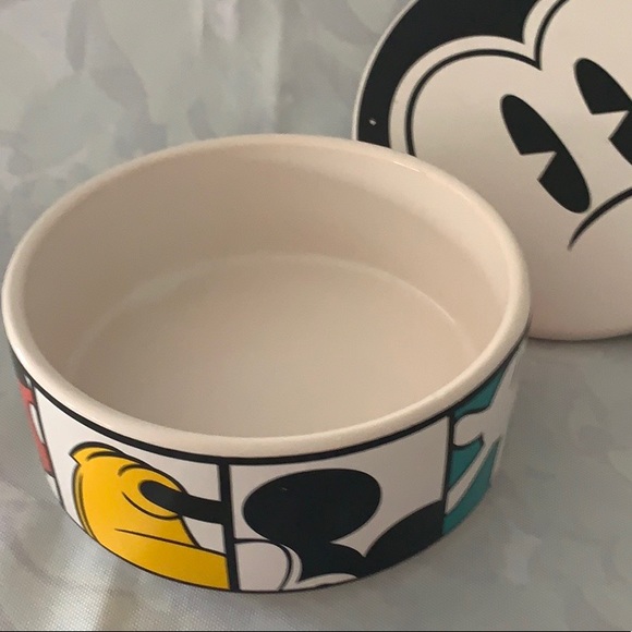 Disney covered dish. - Picture 2 of 8